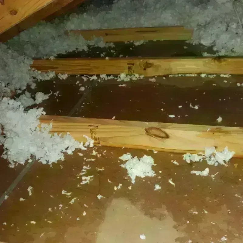 Attic Water Damage in Bottineau County, ND