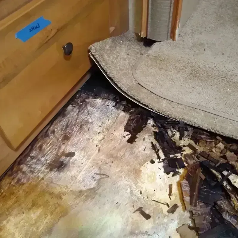 Best Wood Floor Water Damage Service in Bottineau County, ND